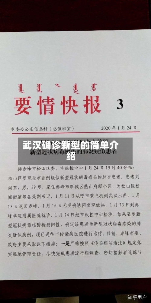 武汉确诊新型的简单介绍-第2张图片