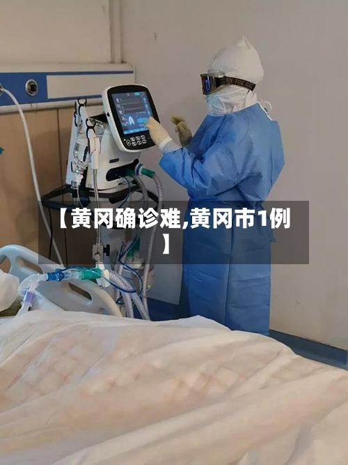 【黄冈确诊难,黄冈市1例】-第2张图片