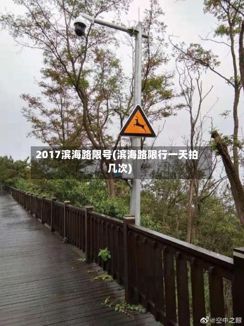 2017滨海路限号(滨海路限行一天拍几次)-第3张图片
