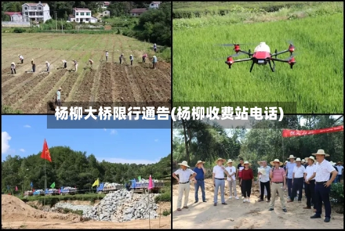 杨柳大桥限行通告(杨柳收费站电话)-第3张图片