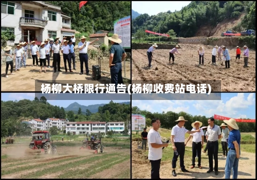 杨柳大桥限行通告(杨柳收费站电话)