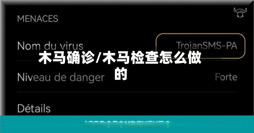 木马确诊/木马检查怎么做的