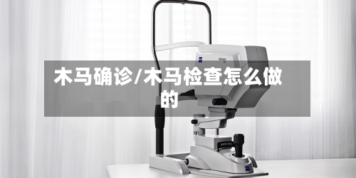 木马确诊/木马检查怎么做的-第2张图片