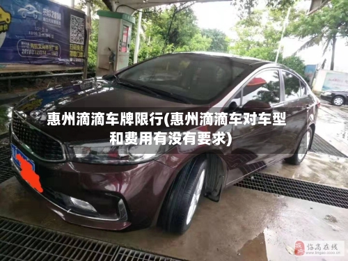 惠州滴滴车牌限行(惠州滴滴车对车型和费用有没有要求)