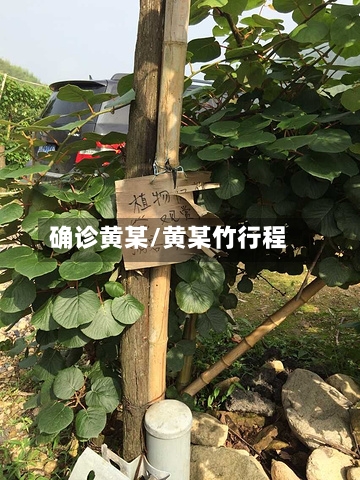 确诊黄某/黄某竹行程-第2张图片