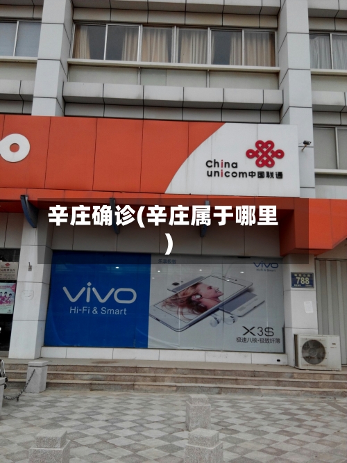 辛庄确诊(辛庄属于哪里)