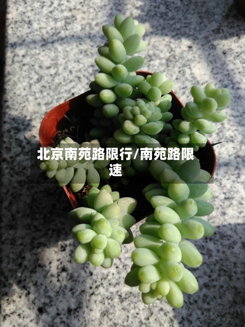 北京南苑路限行/南苑路限速-第3张图片