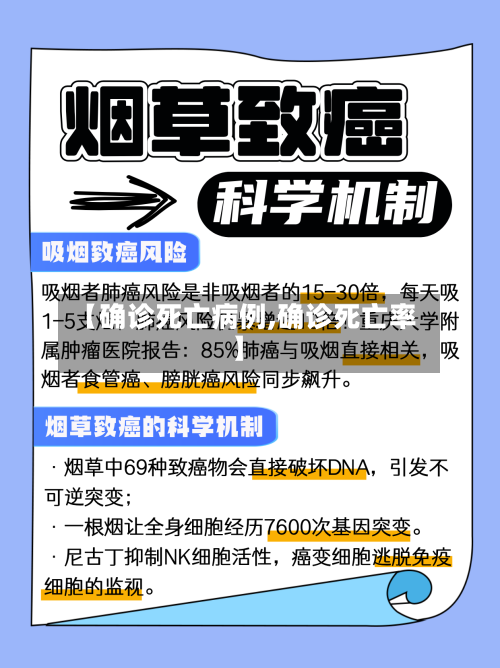 【确诊死亡病例,确诊死亡率】-第3张图片