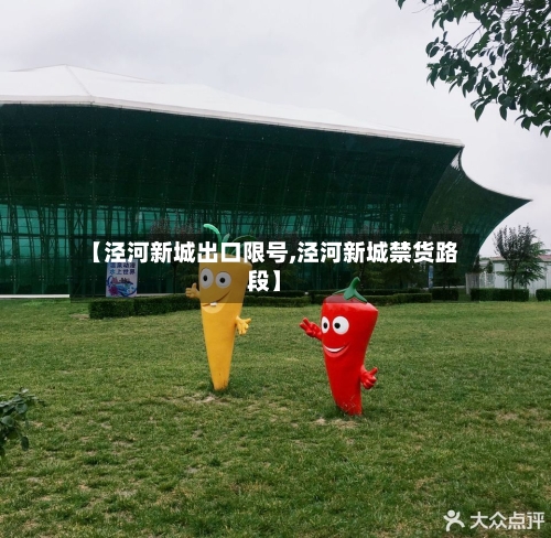 【泾河新城出口限号,泾河新城禁货路段】