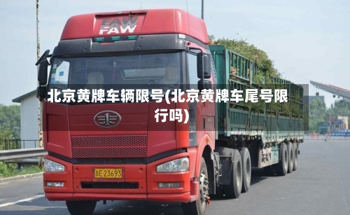 北京黄牌车辆限号(北京黄牌车尾号限行吗)