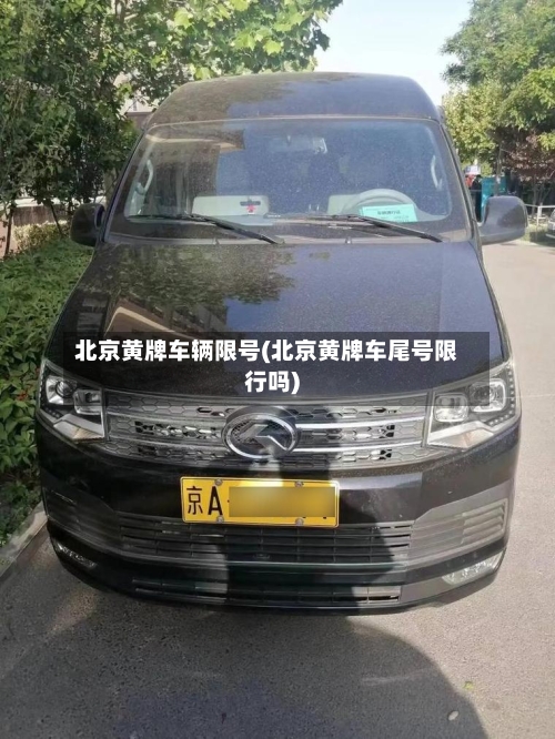 北京黄牌车辆限号(北京黄牌车尾号限行吗)-第2张图片