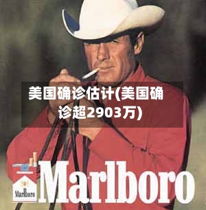 美国确诊估计(美国确诊超2903万)