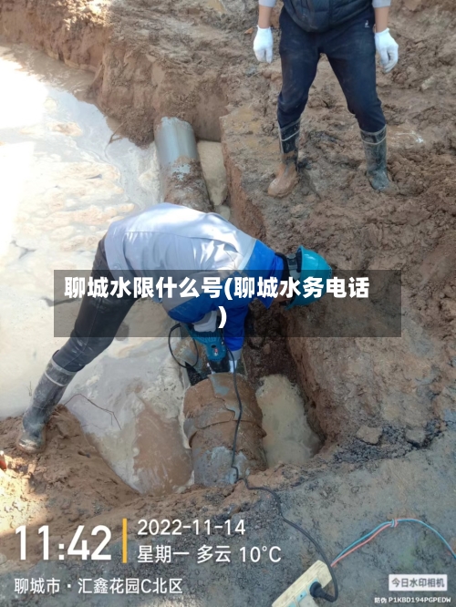 聊城水限什么号(聊城水务电话)