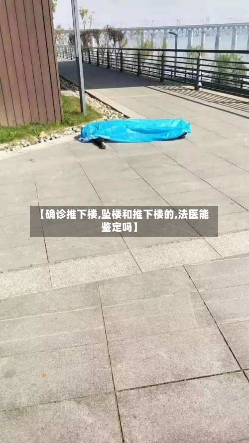 【确诊推下楼,坠楼和推下楼的,法医能鉴定吗】-第2张图片