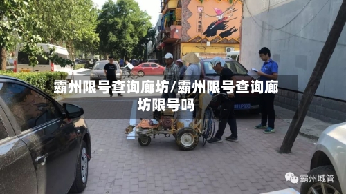 霸州限号查询廊坊/霸州限号查询廊坊限号吗-第2张图片