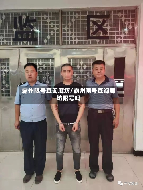 霸州限号查询廊坊/霸州限号查询廊坊限号吗
