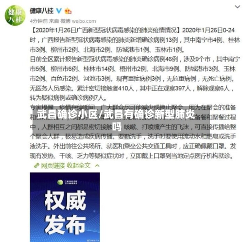 武昌确诊小区/武昌有确诊新型肺炎吗-第3张图片