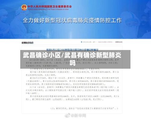 武昌确诊小区/武昌有确诊新型肺炎吗-第2张图片