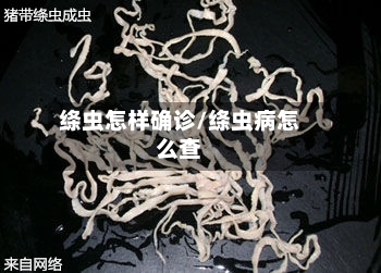 绦虫怎样确诊/绦虫病怎么查-第3张图片