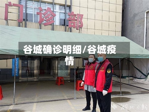 谷城确诊明细/谷城疫情-第3张图片