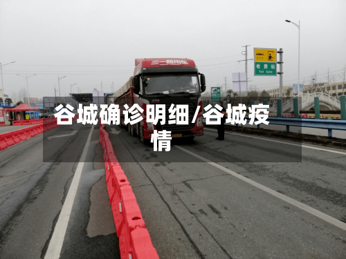 谷城确诊明细/谷城疫情