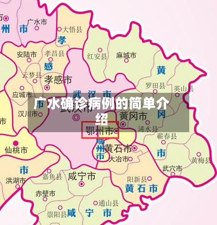 广水确诊病例的简单介绍-第3张图片