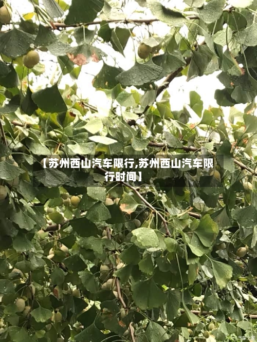 【苏州西山汽车限行,苏州西山汽车限行时间】
