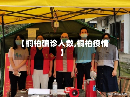 【桐柏确诊人数,桐柏疫情】-第2张图片