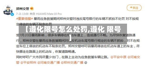 【遵化限号怎么处罚,遵化 限号】-第2张图片