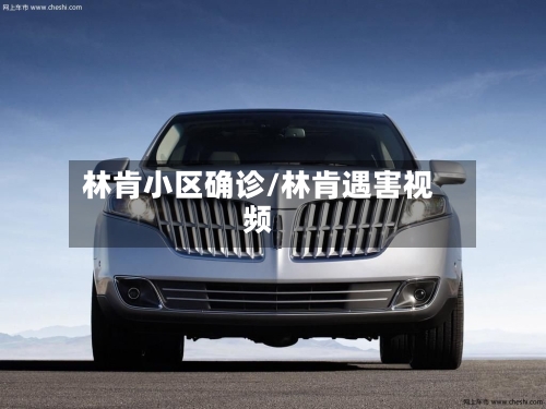 林肯小区确诊/林肯遇害视频-第2张图片
