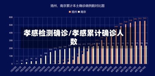 孝感检测确诊/孝感累计确诊人数