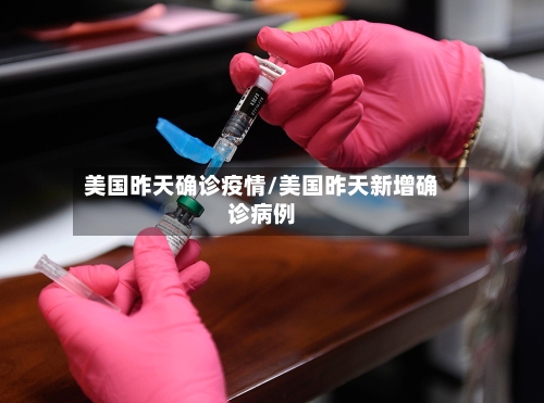 美国昨天确诊疫情/美国昨天新增确诊病例-第2张图片
