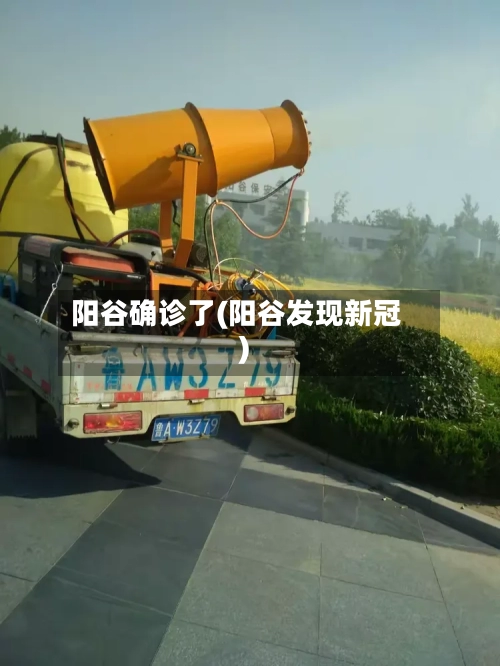 阳谷确诊了(阳谷发现新冠)