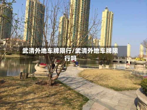 武清外地车牌限行/武清外地车牌限行吗-第2张图片