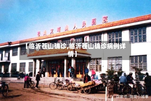 【临沂苍山确诊,临沂苍山确诊病例详情】-第2张图片