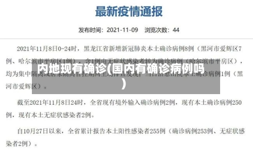 内地现有确诊(国内有确诊病例吗)-第2张图片