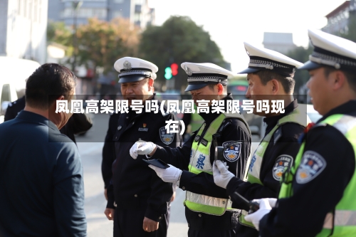 凤凰高架限号吗(凤凰高架限号吗现在)-第3张图片