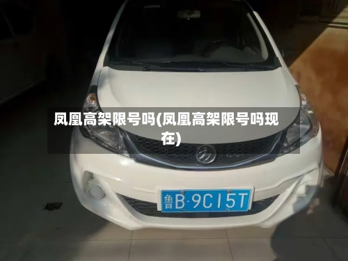 凤凰高架限号吗(凤凰高架限号吗现在)-第2张图片