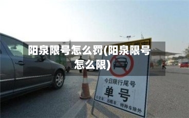 阳泉限号怎么罚(阳泉限号怎么限)-第2张图片