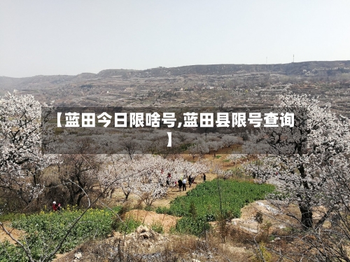 【蓝田今日限啥号,蓝田县限号查询】-第2张图片