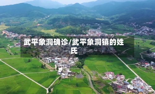武平象洞确诊/武平象洞镇的姓氏-第2张图片