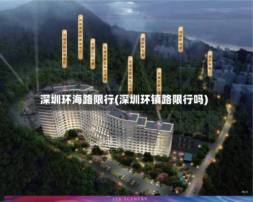 深圳环海路限行(深圳环镇路限行吗)