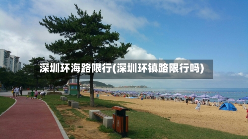 深圳环海路限行(深圳环镇路限行吗)-第2张图片