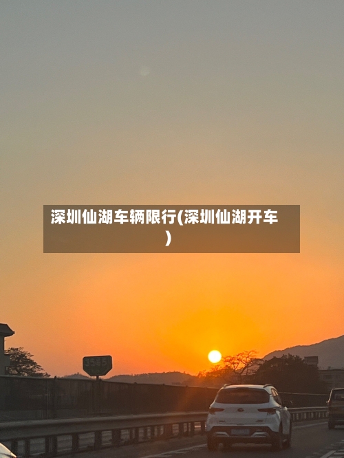 深圳仙湖车辆限行(深圳仙湖开车)