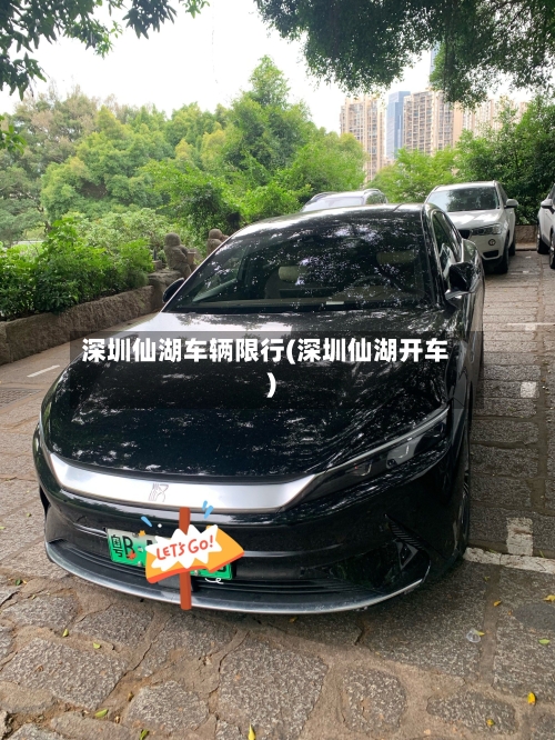 深圳仙湖车辆限行(深圳仙湖开车)-第3张图片