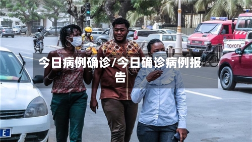 今日病例确诊/今日确诊病例报告-第2张图片