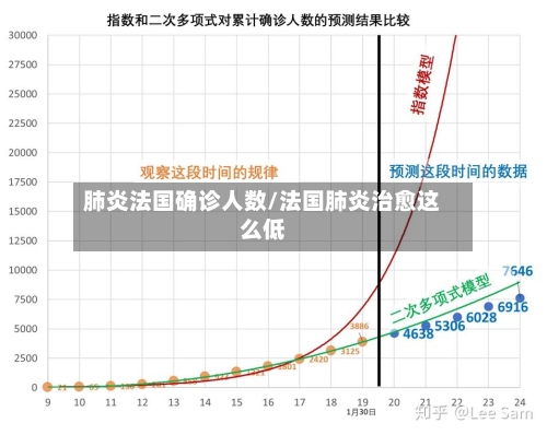 肺炎法国确诊人数/法国肺炎治愈这么低