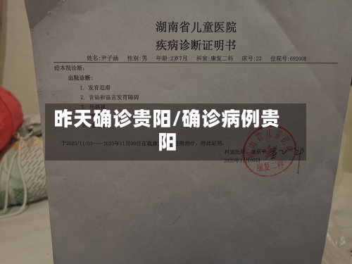 昨天确诊贵阳/确诊病例贵阳-第2张图片