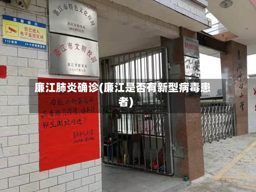 廉江肺炎确诊(廉江是否有新型病毒患者)-第2张图片