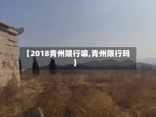 【2018青州限行嘛,青州限行吗】-第2张图片
